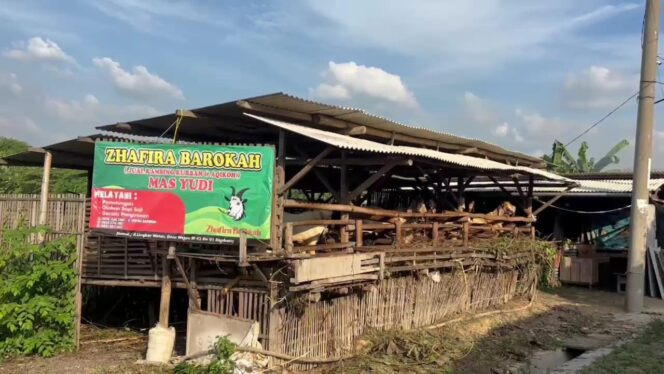 
					Lokasi Peternakan Kambing di Desa Weton, Rembang, Jumat (30/5/2025). (Foto: Doni Setiwan/rembangsepekan.com)