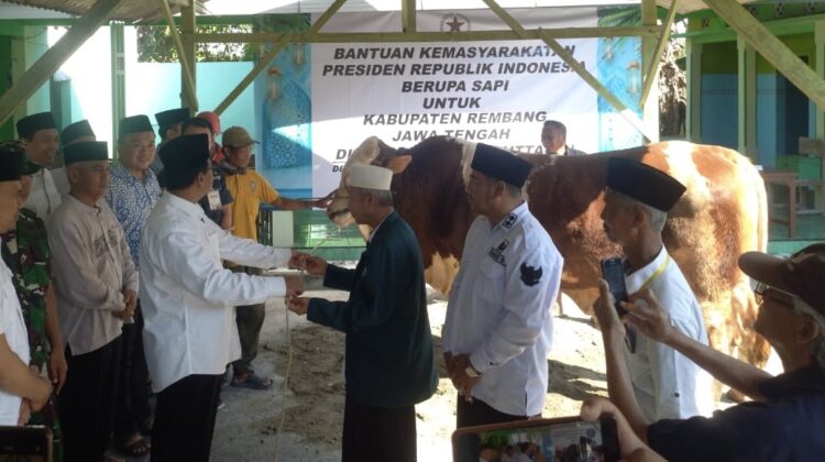 Penyerahan bantuan hewan kurban ini dilakukan secara simbolis oleh Bupati Rembang, Harno, di Masjid Baitul Muttaqin, Pancur, Rembang, Sabtu (7/6/2025). (Foto: Doni Setiawan/rembangsepekan.com)