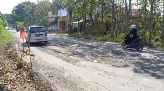Kondisi jalan rusak di Jalur Pamotan-Clangapan, tepatnya di ruas Desa Sendangagung, Kecamatan Pamotan, Kabupaten Rembang, kian memprihatinkan, Rabu (18/6/2025). (Foto: Doni Setiawan/rembangsepekan.com)
