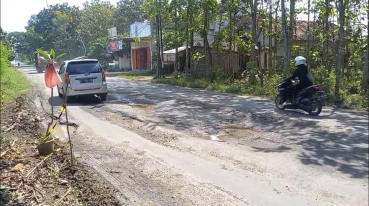 Kondisi jalan rusak di Jalur Pamotan-Clangapan, tepatnya di ruas Desa Sendangagung, Kecamatan Pamotan, Kabupaten Rembang, kian memprihatinkan, Rabu (18/6/2025). (Foto: Doni Setiawan/rembangsepekan.com)