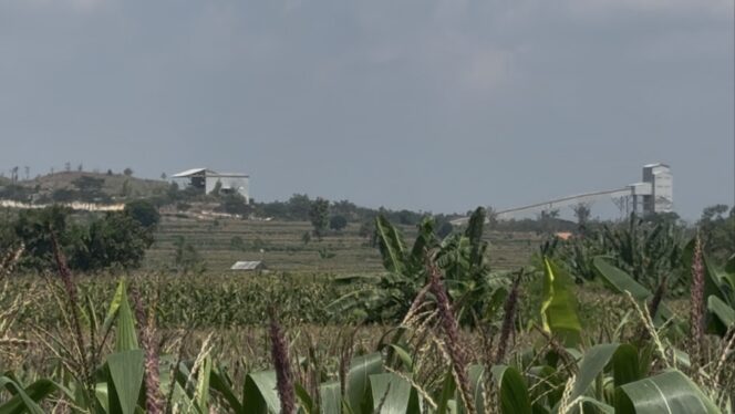 
					Lokasi tambang PT Semen Gresik Pabrik Rembang tampak dari Desa Timbrangan, Gunem, Selasa (3/6/2025). (Foto: rembangsepekan.com)