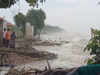 Abrasi di Desa Pandangan Kulon, Kragan, Rembang, baru-baru ini. (Foto: Doni Setiawan/rembangsepekan.com)