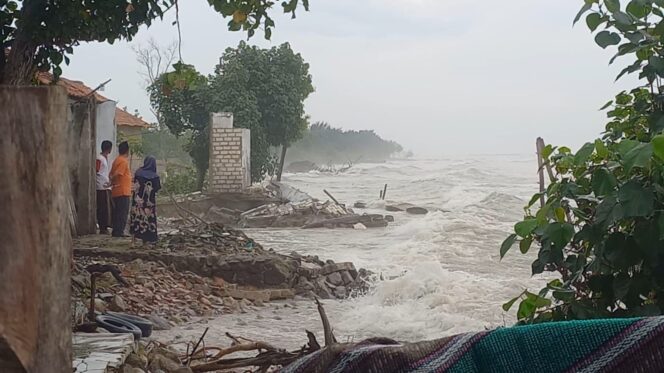 
					Abrasi di Desa Pandangan Kulon, Kragan, Rembang, baru-baru ini. (Foto: Doni Setiawan/rembangsepekan.com)