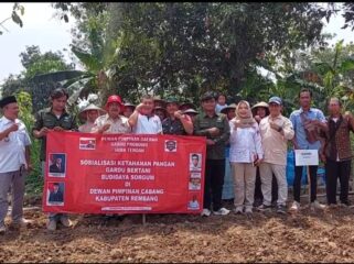 Para Petani Sorgum di Rembang, Jawa Tengah, Santu (9/8/2025). (Foto: rembangsepekan.com)