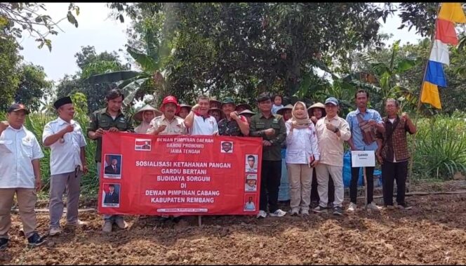 
					Para Petani Sorgum di Rembang, Jawa Tengah, Santu (9/8/2025). (Foto: rembangsepekan.com)