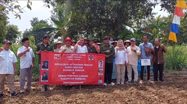 Para Petani Sorgum di Rembang, Jawa Tengah, Santu (9/8/2025). (Foto: rembangsepekan.com)