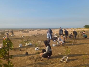 Penanaman mangrove di Pantai Pasar Banggi, Rembang, Sabtu (9/8/2025). (Foto: Doni Setiawan/rembangsepekan.com)