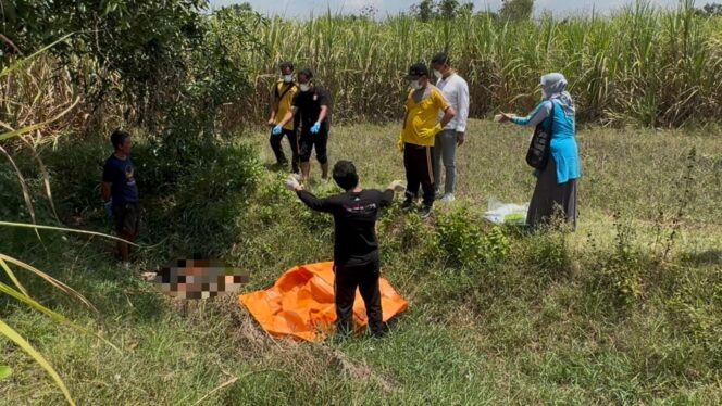 
					Warga temukan mayat laki-laki di tengah sawah, Desa Kasreman, Jumat (12/9/2025). (Foto: rembangsepekan.com)