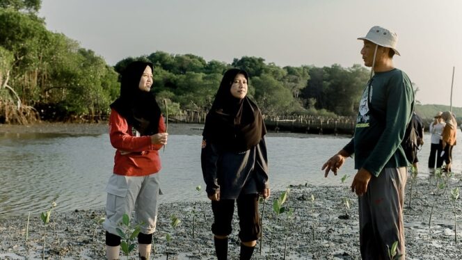 
					Ketua Kelompok Mangrove Sidodadi Maju, Wachana Ari Purwanto bersama dua pemuda tengah menanam bibit mangrove di Pantai Desa Pasarbanggi, Rembang, baru-baru ini. (Foto: rembangsepekan.com)
