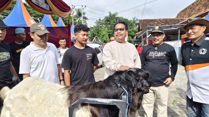
					Pentas Kambing Kaligesing di Rembang Tampilkan Ternak Bernilai Tinggi, Harga Capai Rp50 Juta