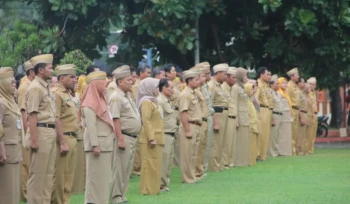 WhatsApp Image 2026-04-25 at 08.44.52