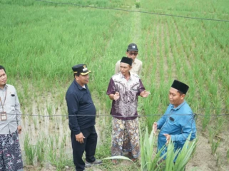 IMG-20260501-WA0062