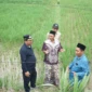 IMG-20260501-WA0062