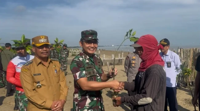 Bupati Rembang Harno bersama jajaran TNI AD menanam sekitar 1.000 pohon mangrove di kawasan Hutan Mangrove Desa Pasarbanggi, Rembang, Senin (25/5/2026). Foto: rembangsepekan.com