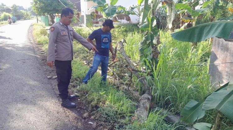 Polisi melakukan olah TKP di lokasi insiden di Desa Sidowayah, Pancur, pada Selasa (23/6/2026). Foto: rembangsepekan.com