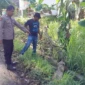 WhatsApp Image 2026-06-23 at 15.40.30