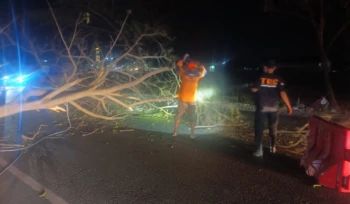 BPBD Rembang mengevakuasi pohon di tepi Jalur Pantura Pasarbanggi, Rembang, yang nyaris tumbang, Selasa (30/6/2026) malam. Foto: rembangsepekan.com