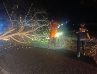 BPBD Rembang mengevakuasi pohon di tepi Jalur Pantura Pasarbanggi, Rembang, yang nyaris tumbang, Selasa (30/6/2026) malam. Foto: rembangsepekan.com