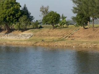 Petani di sekitar Embung Rawasetro memanfaatkan air untuk pertanian. Foto: rembangsepekan.com