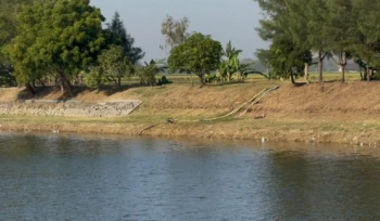 Petani di sekitar Embung Rawasetro memanfaatkan air untuk pertanian. Foto: rembangsepekan.com