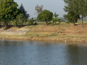 Petani di sekitar Embung Rawasetro memanfaatkan air untuk pertanian. Foto: rembangsepekan.com