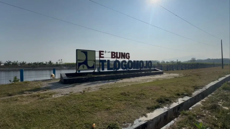 Embung di Desa Tlogomojo, Rembang. (Foto: rembangsepekan.com)